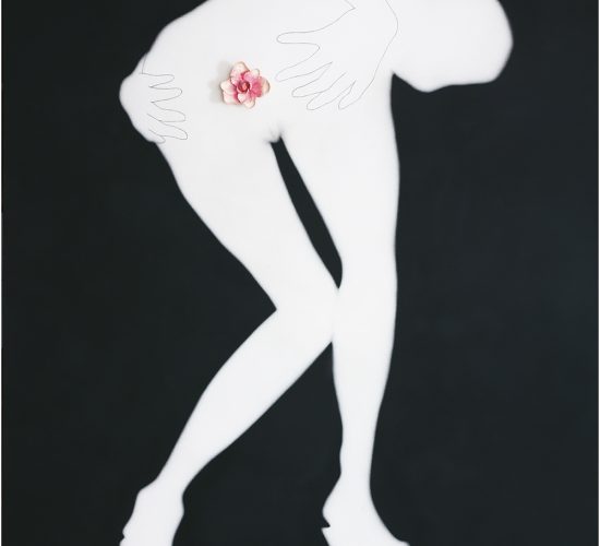 <b>Sexy Girl 섹시걸</b> 240x173cm, Spray on canvas, Artificial flower, 2007